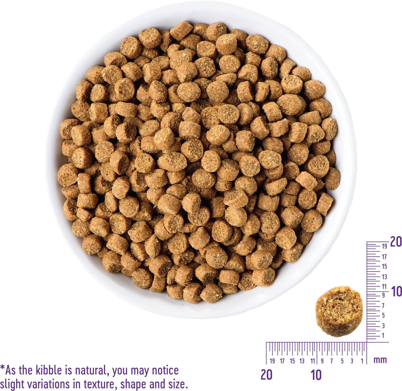 Natural Dog Kibble Textureand Size Variation PNG image