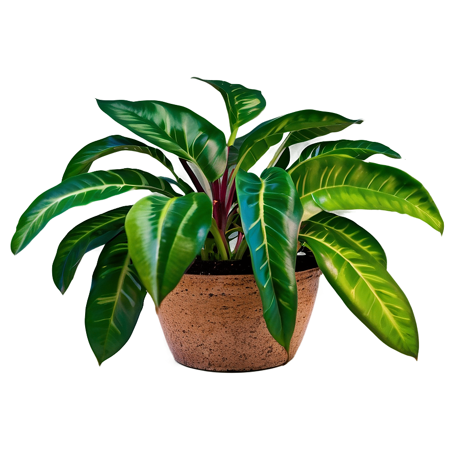 Natural Floor Plant Png 95 PNG image