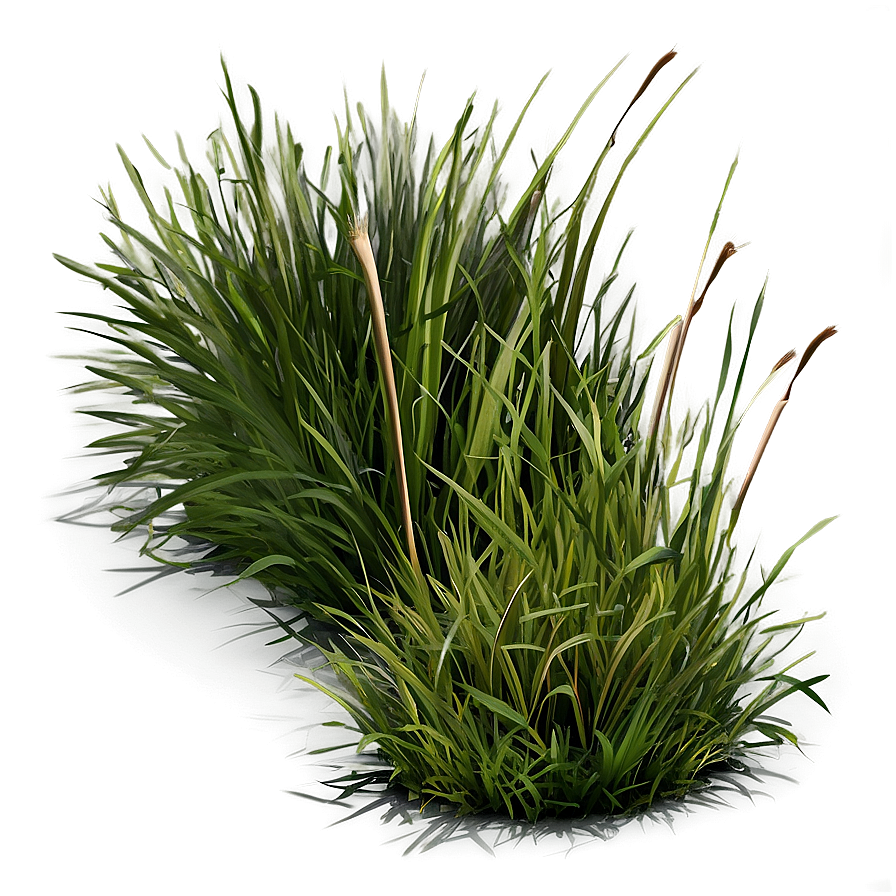 Natural Grass Patch Png Bkm6 PNG image