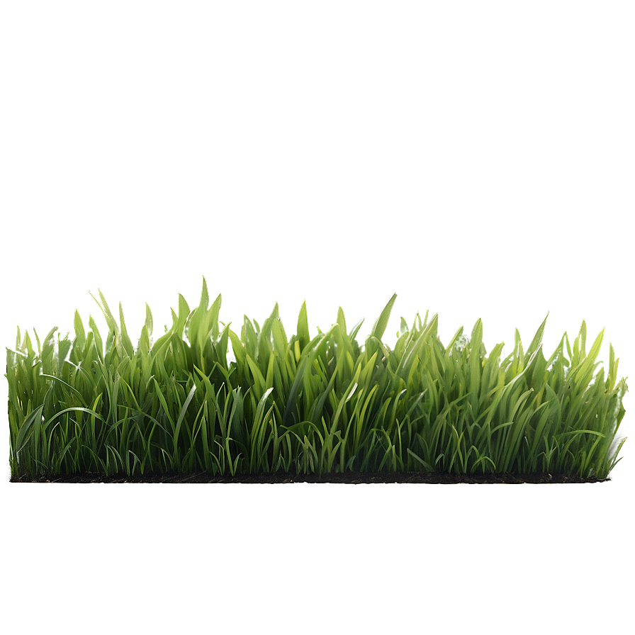 Natural Green Grass Png 2 PNG image