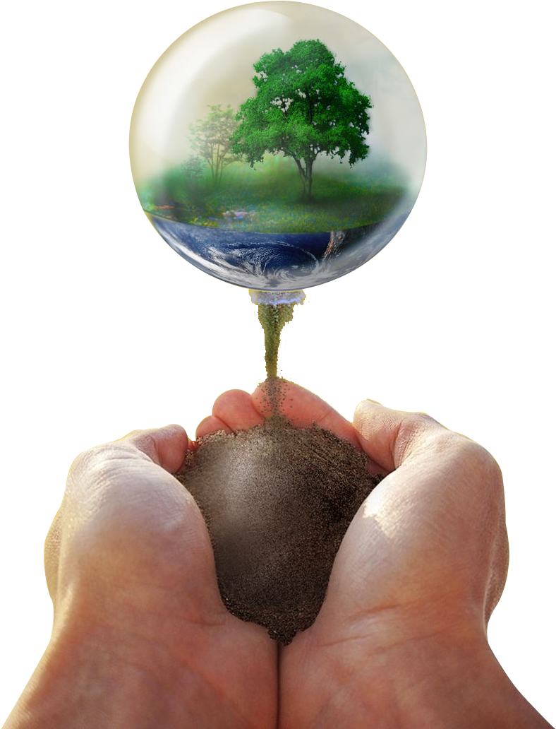 Nature Bubble Emergingfrom Mud PNG image
