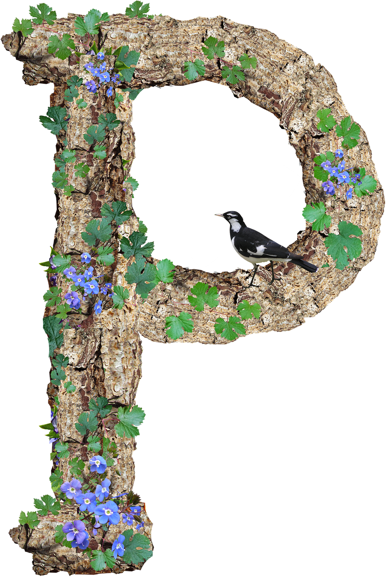 Nature Inspired Letter Rwith Birdand Flowers PNG image