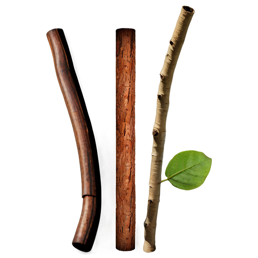 Nature Sticks Png 26 PNG image