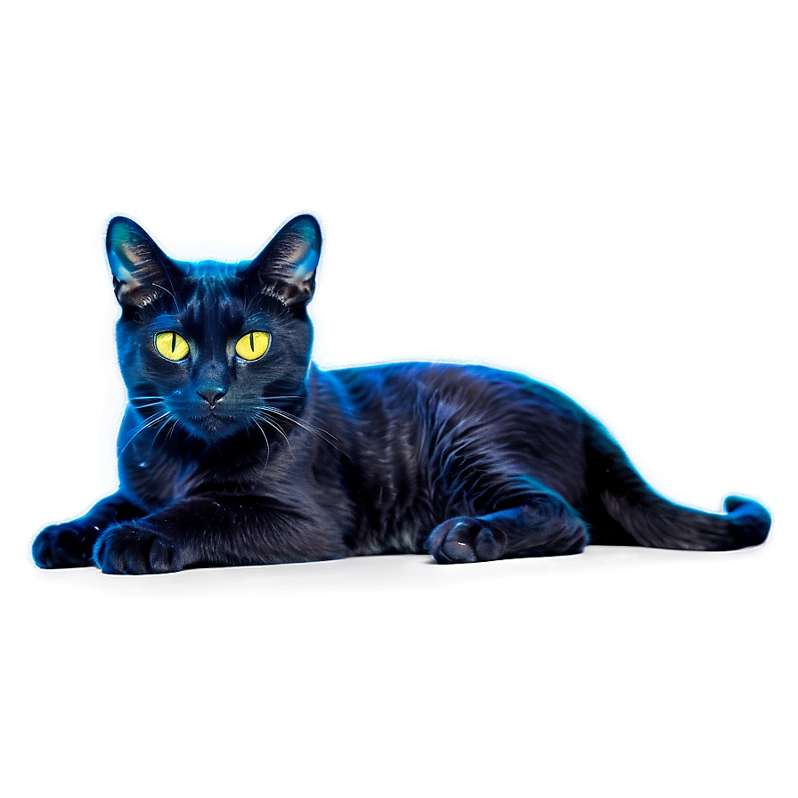 Nebula Cat Png 06242024 PNG image