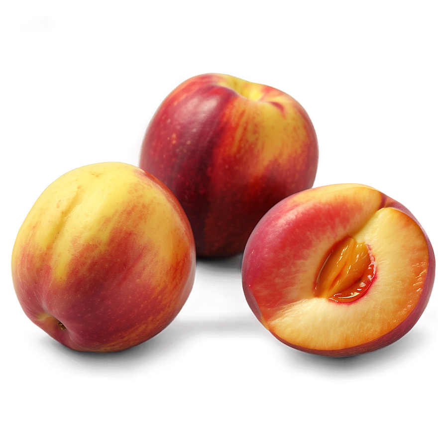 Nectarine Art Png 06252024 PNG image