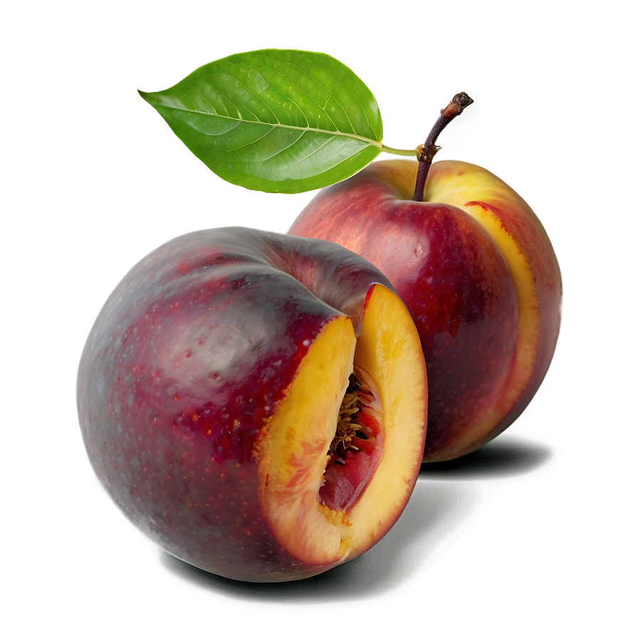 Nectarine In Hand Png 06252024 PNG image