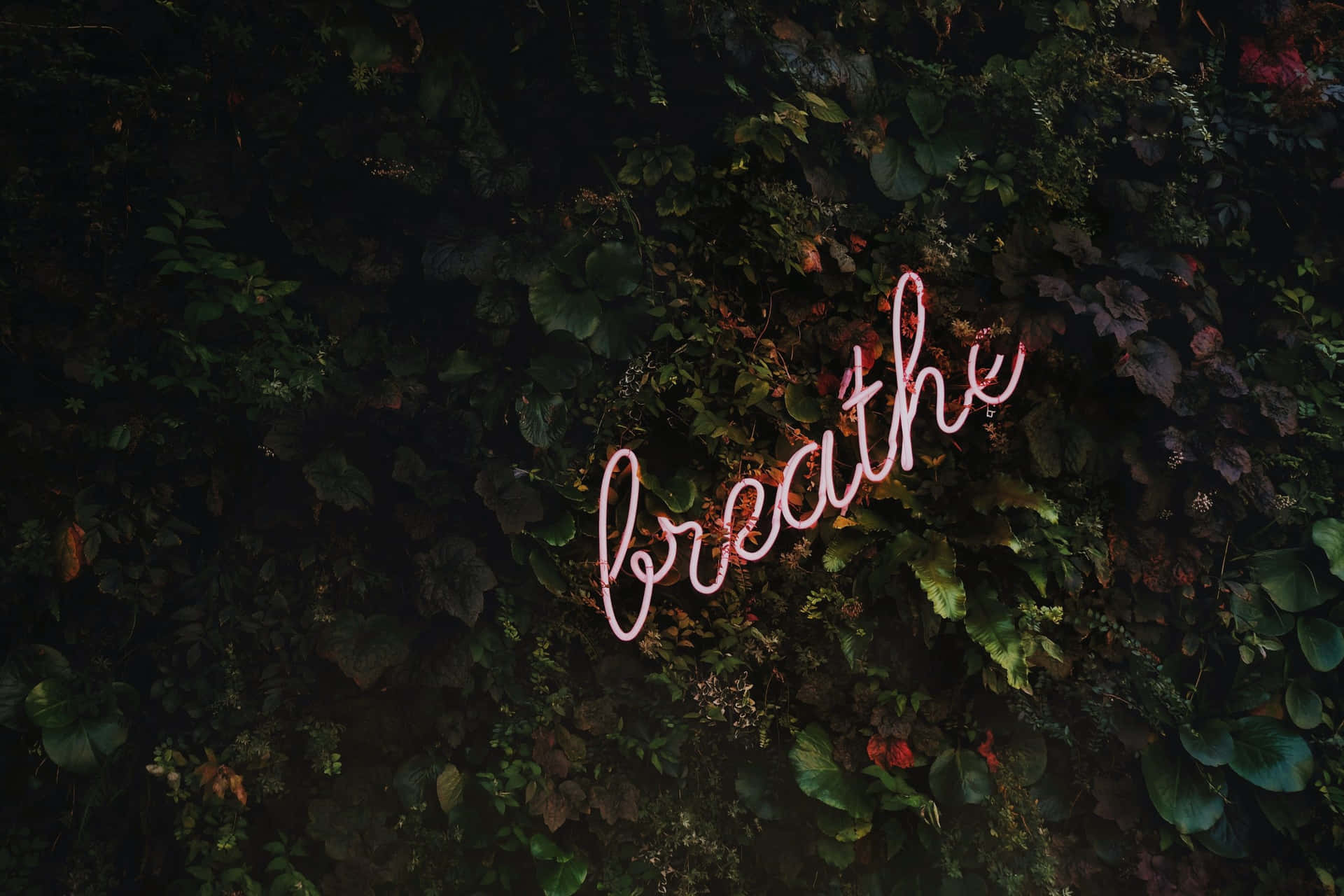 Neon Breathe Wall Art PNG image