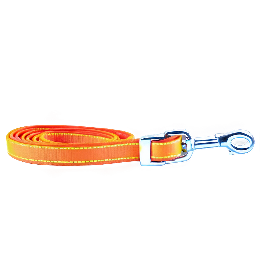 Neon Dog Leash Png Qkc55 PNG image