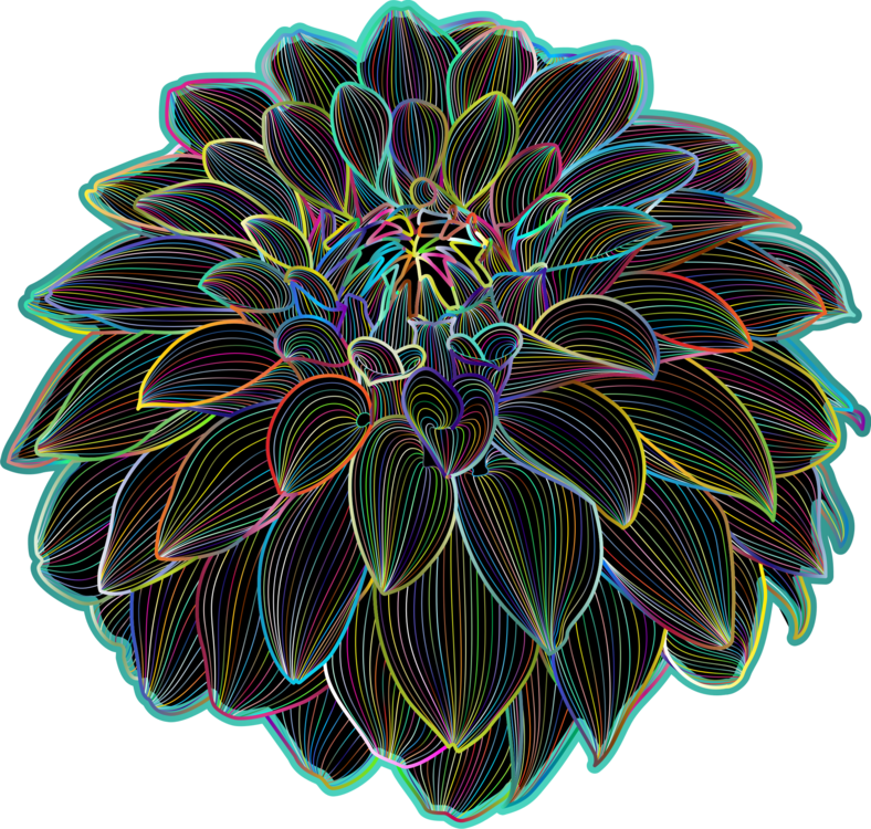 Neon Outlined Chrysanthemum Flower PNG image