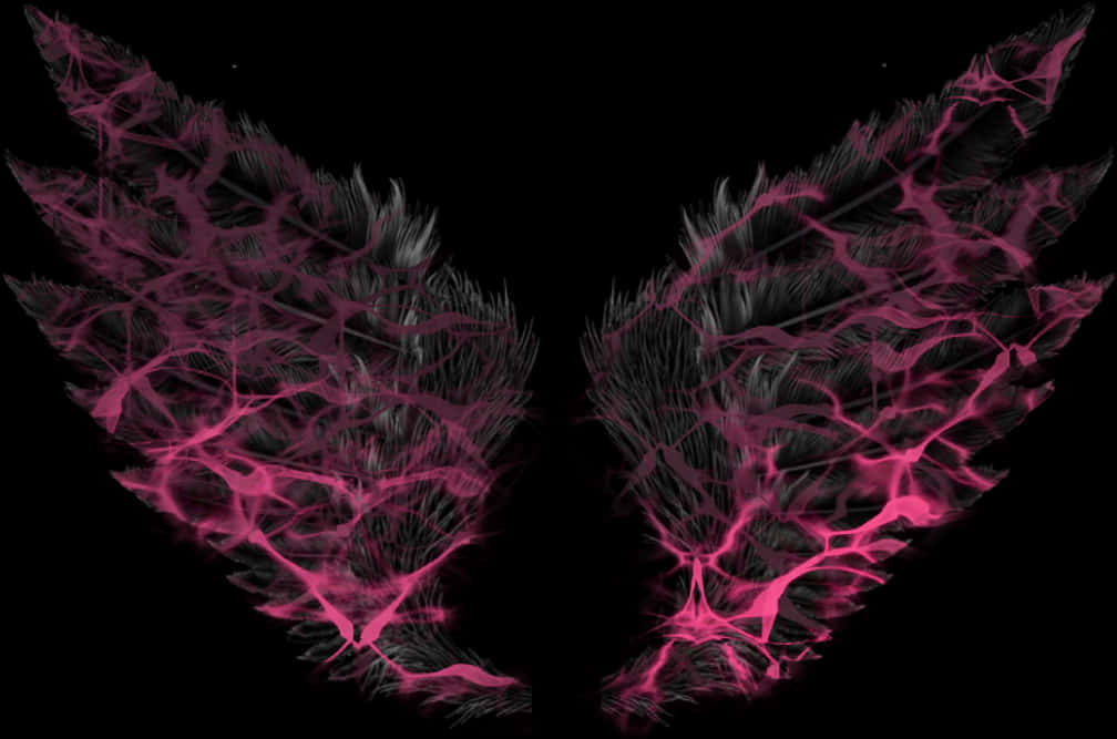 Neon Pink Angel Wingson Black Background PNG image