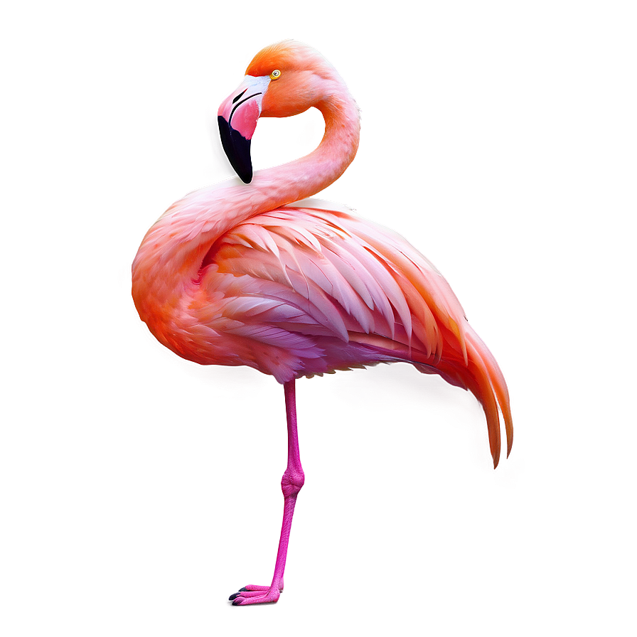 Neon Tropical Flamingo Png 06272024 PNG image