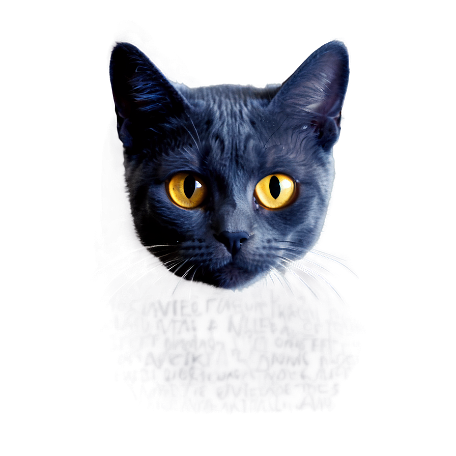 Nerdy Cat Meme Png 05212024 PNG image