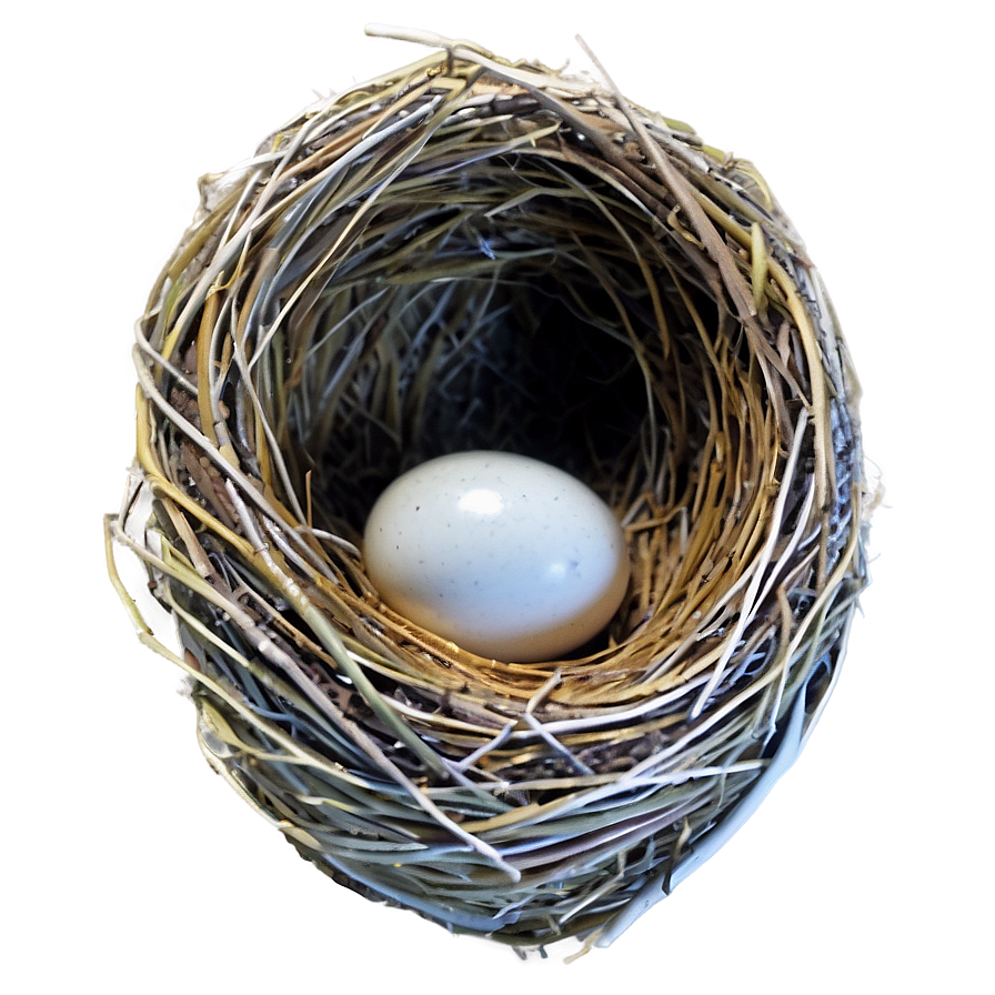 Nest Egg Png Wmp11 PNG image