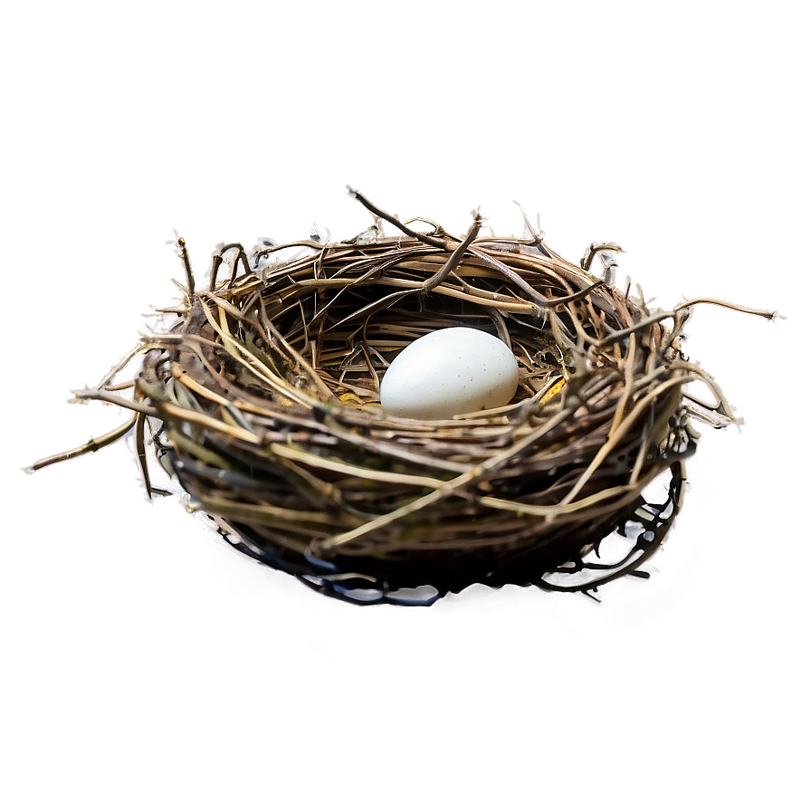 Nest In Autumn Png 05252024 PNG image