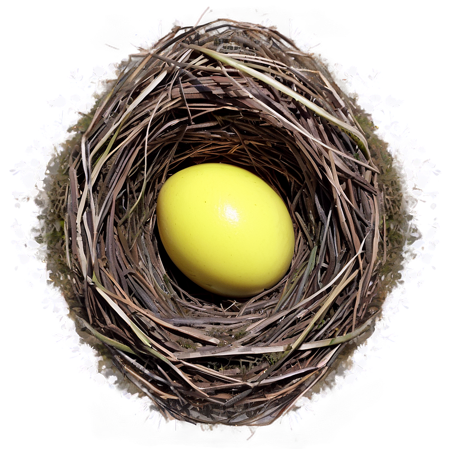 Nest In Meadow Png 05252024 PNG image