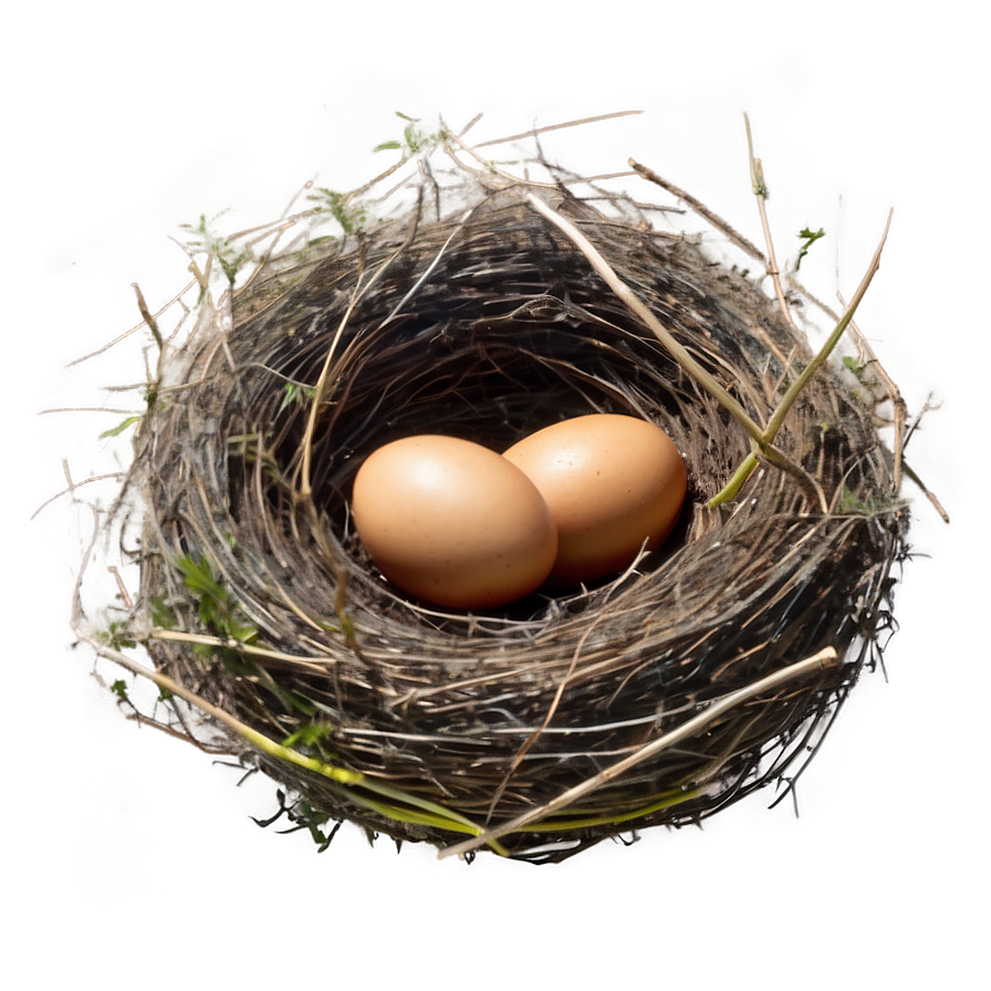Nest In Meadow Png Tce14 PNG image