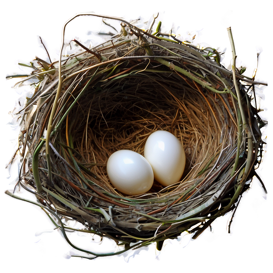 Nest In Secret Place Png 05252024 PNG image