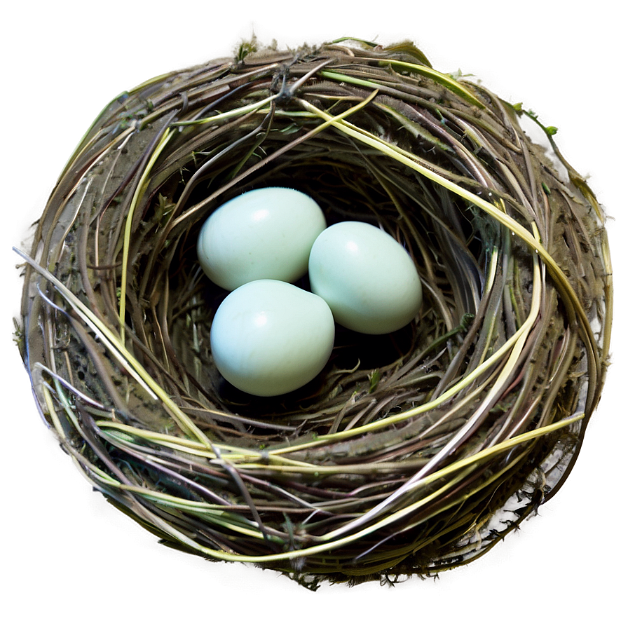 Nest On Ground Png Mbg39 PNG image