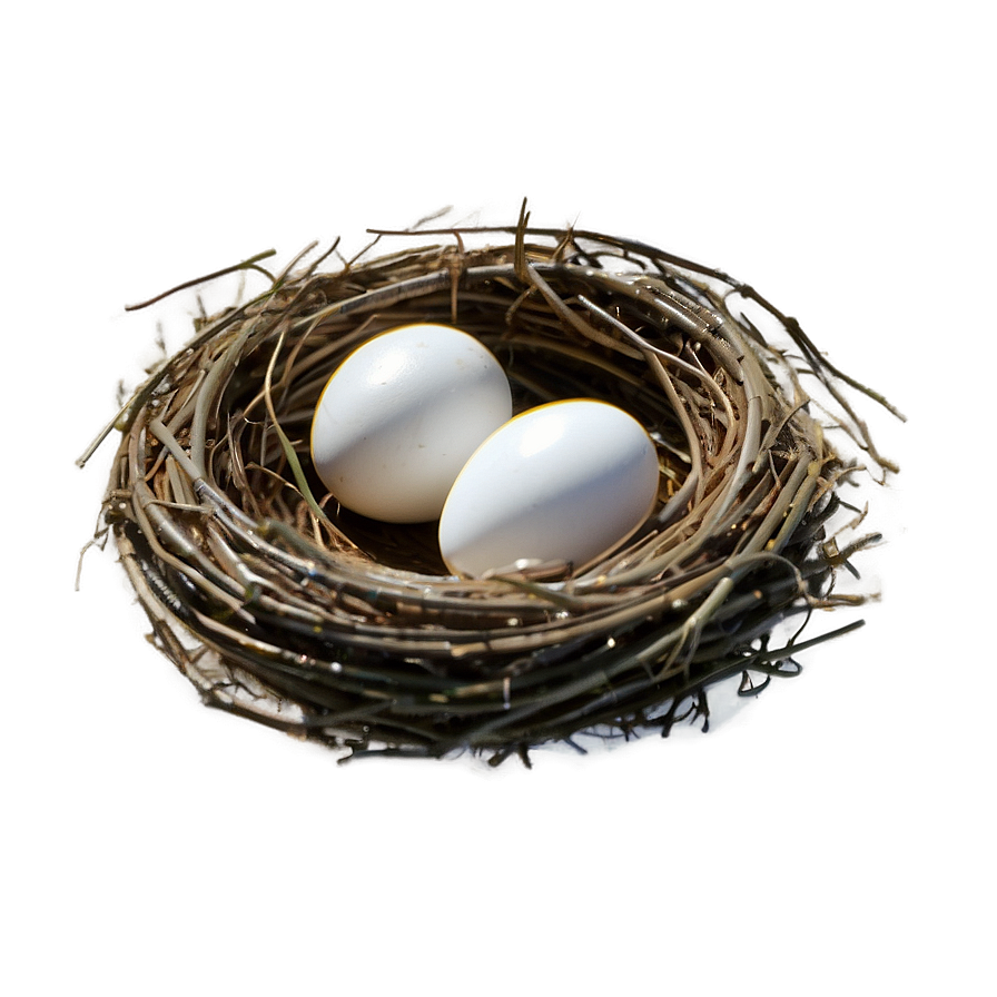 Nest Outline Png Dmo PNG image