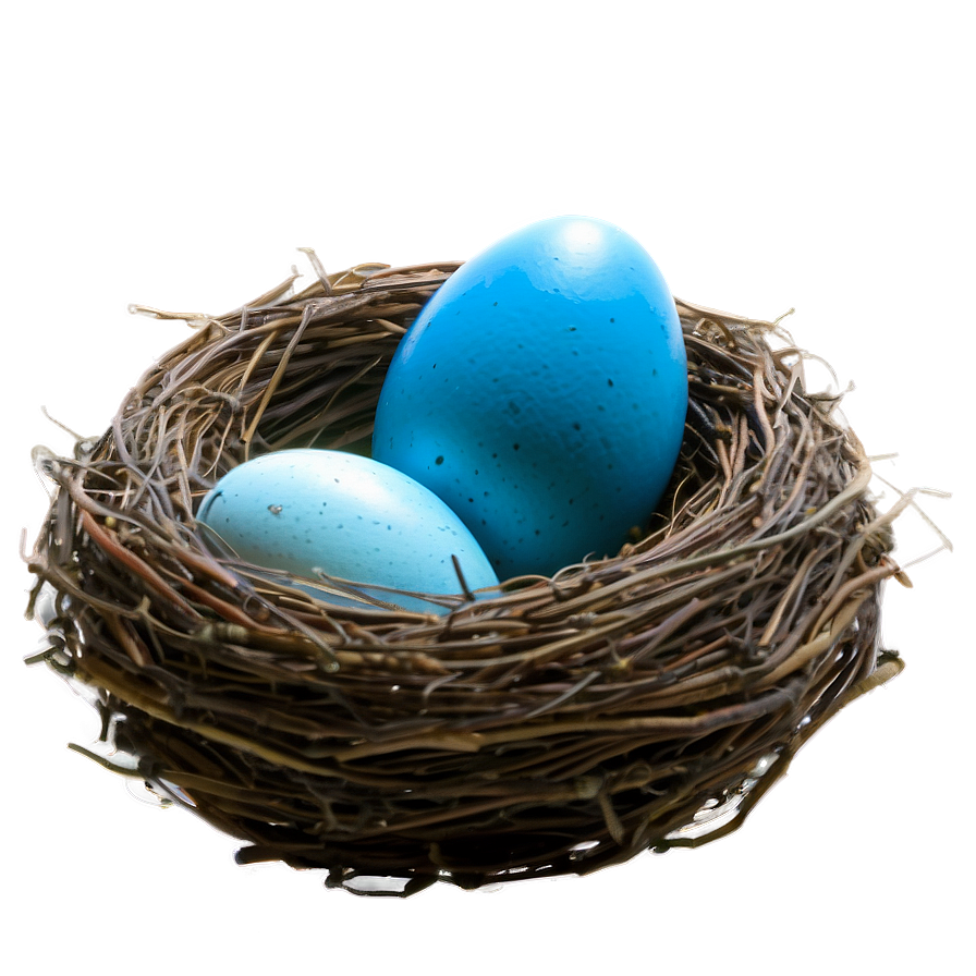 Nest With Blue Eggs Png 05252024 PNG image