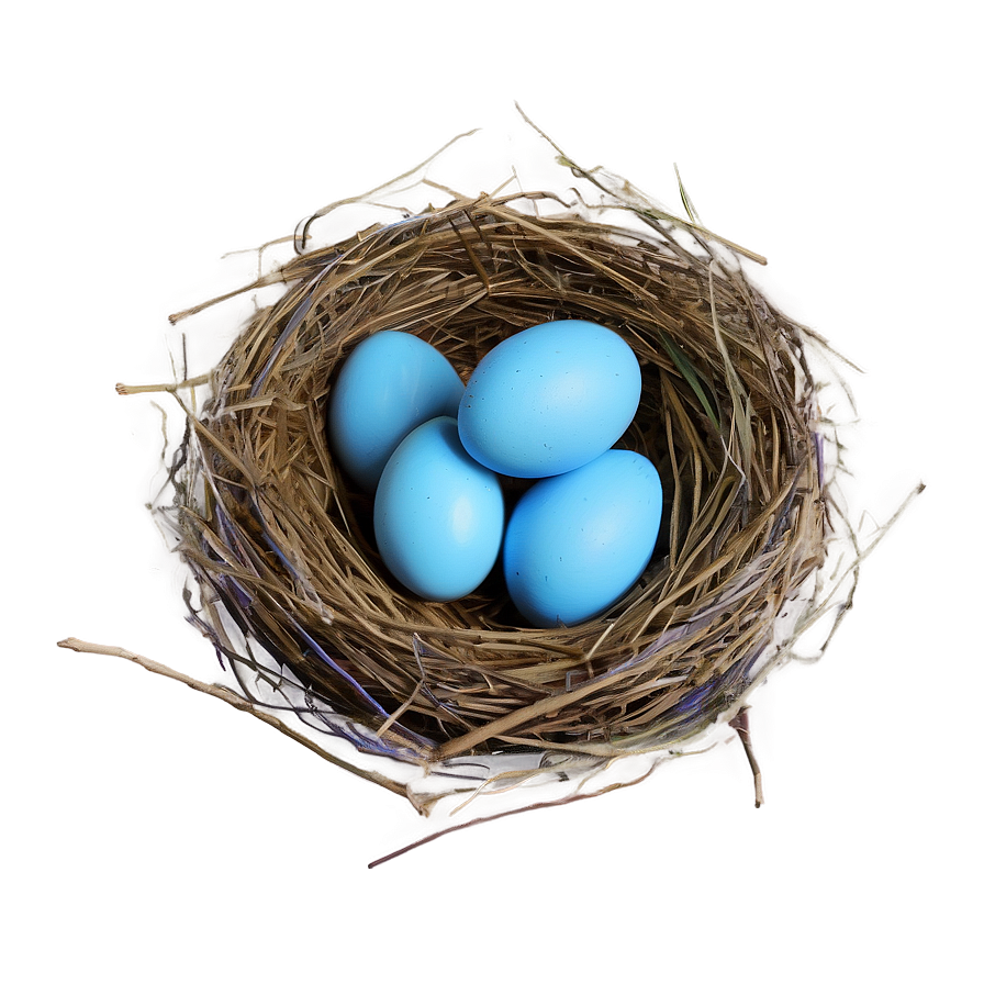 Nest With Blue Eggs Png Twy34 PNG image