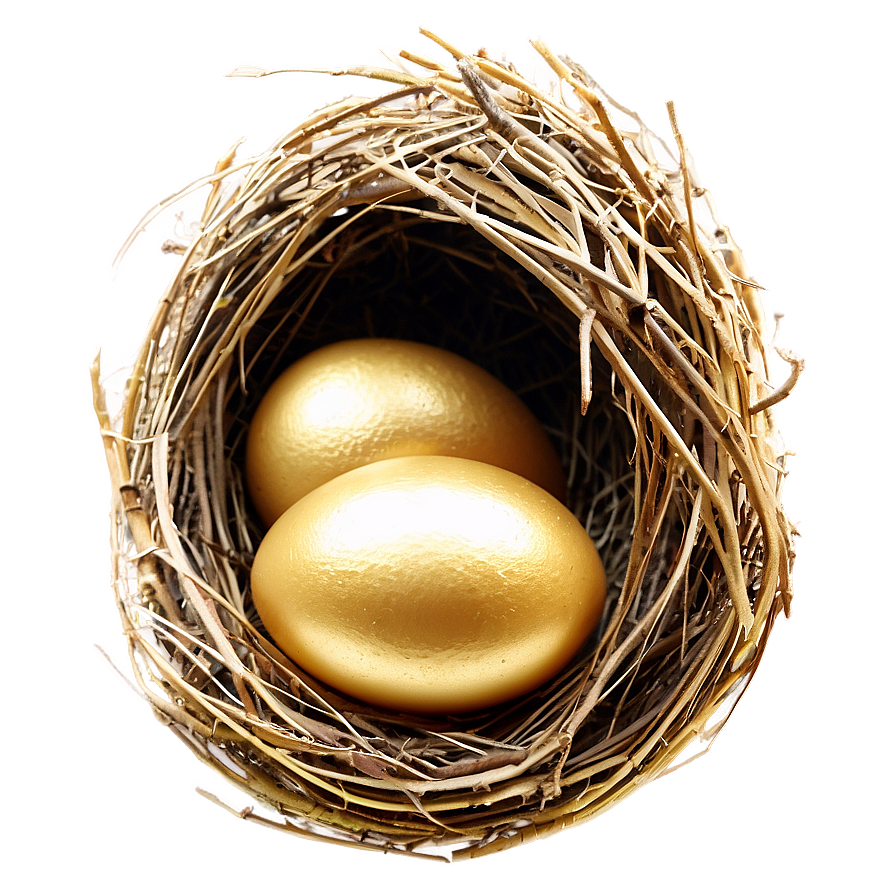 Nest With Golden Eggs Png Dhg69 PNG image