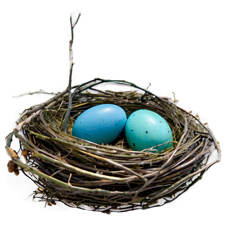 Nest With Robin Eggs Png 90 PNG image