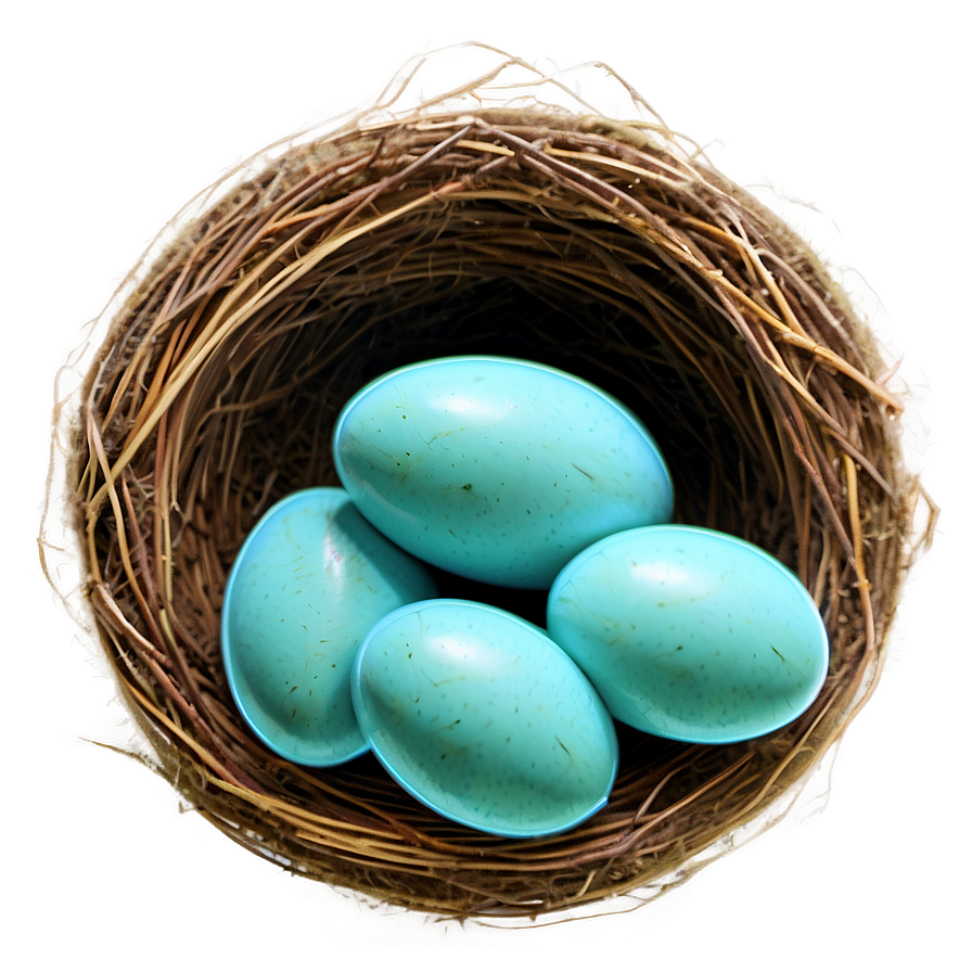 Nest With Robin Eggs Png Svb79 PNG image