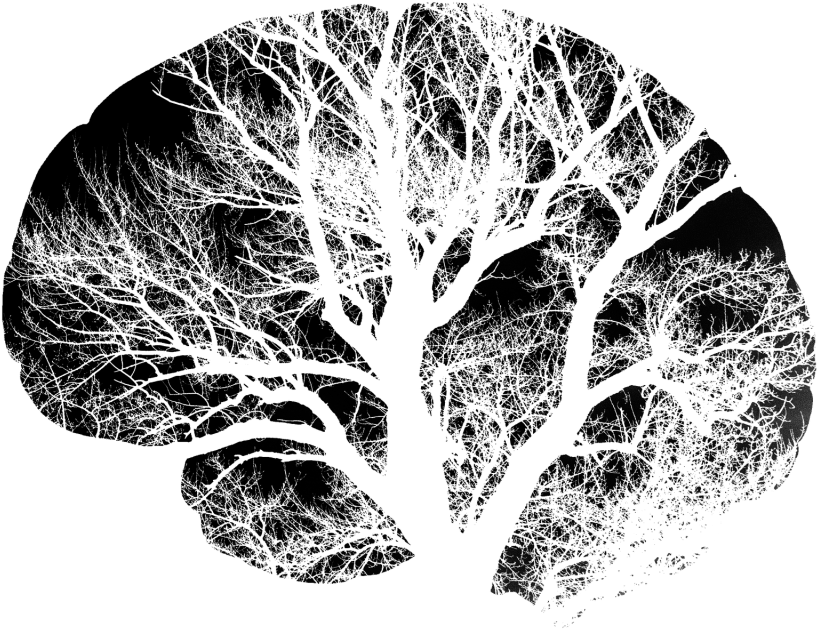 Neural Tree Brain Illustration PNG image