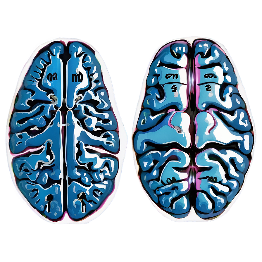 Neurological Brain Outline Png 17 PNG image