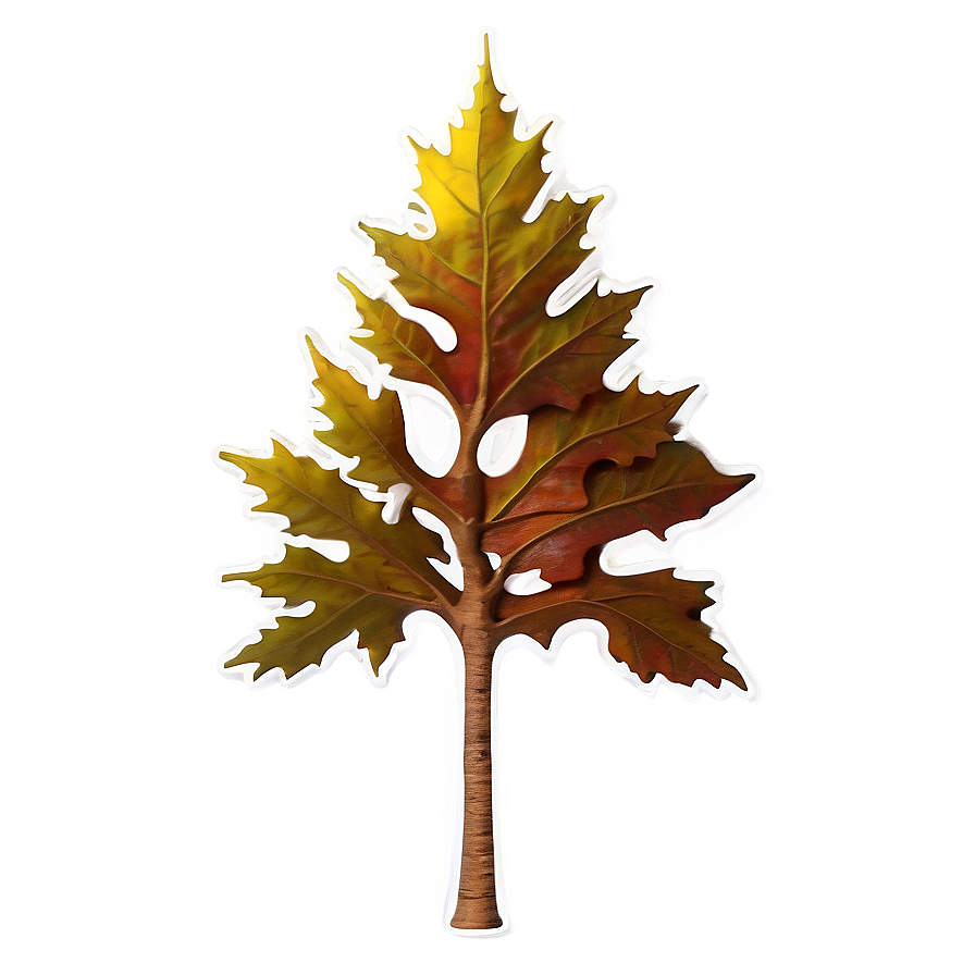 New York State Tree Sugar Maple Png 06122024 PNG image