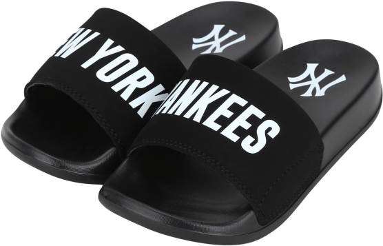 New York Yankees Slides PNG image