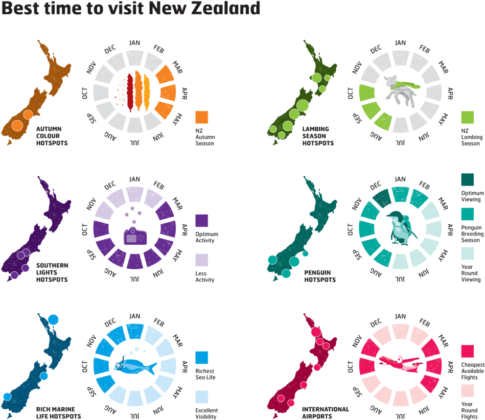 New Zealand Travel Times Infographic PNG image