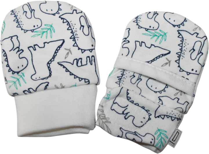 Newborn Dinosaur Print Mittens PNG image