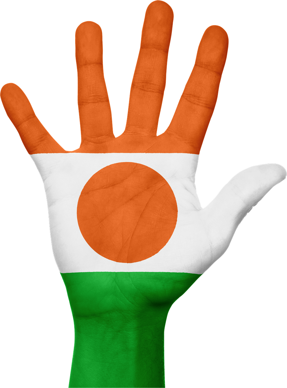 Niger Flag Painted Hand PNG image