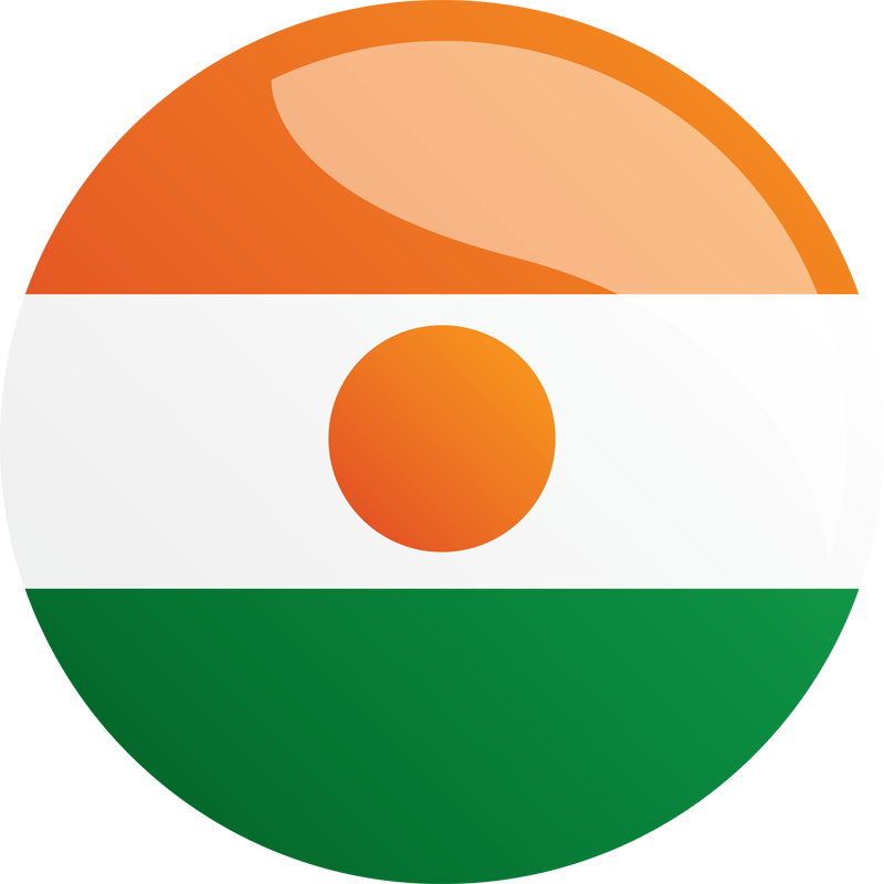 Niger National Flag PNG image