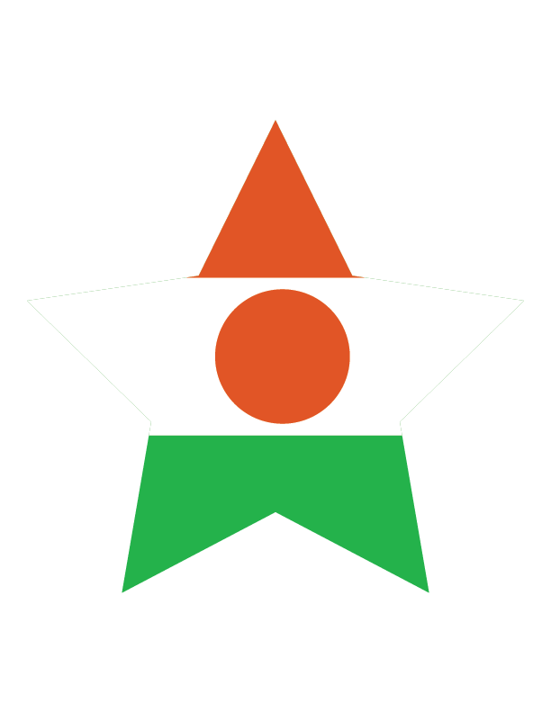 Niger National Flag Graphic PNG image