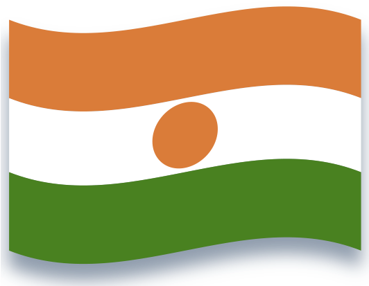 Niger National Flag Waving PNG image