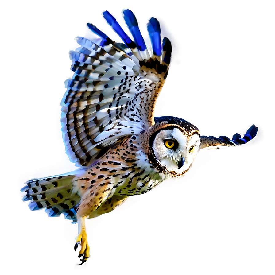 Night Owl Flying Png 49 PNG image