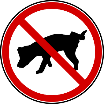 No Dogs Allowed Sign PNG image