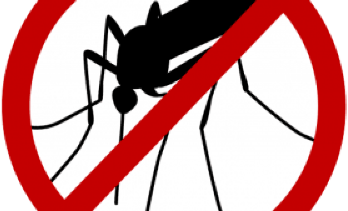 No Mosquito Sign Graphic PNG image
