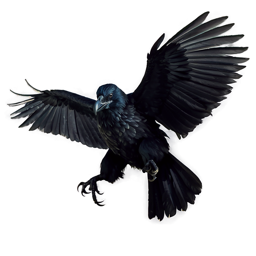 Norse Mythology Ravens Png 06122024 PNG image