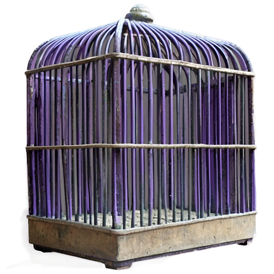 Novelty Theme Cage Png Vii PNG image