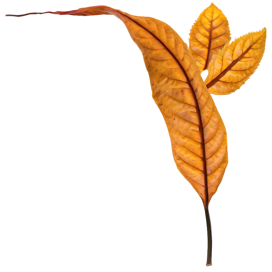 November Leaves Png 77 PNG image