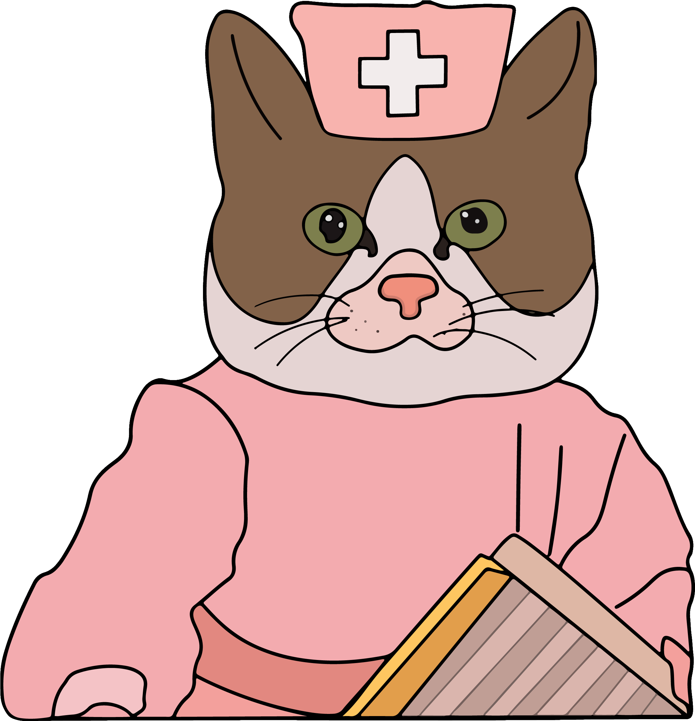 Nurse Cat Cartoon Meme PNG image