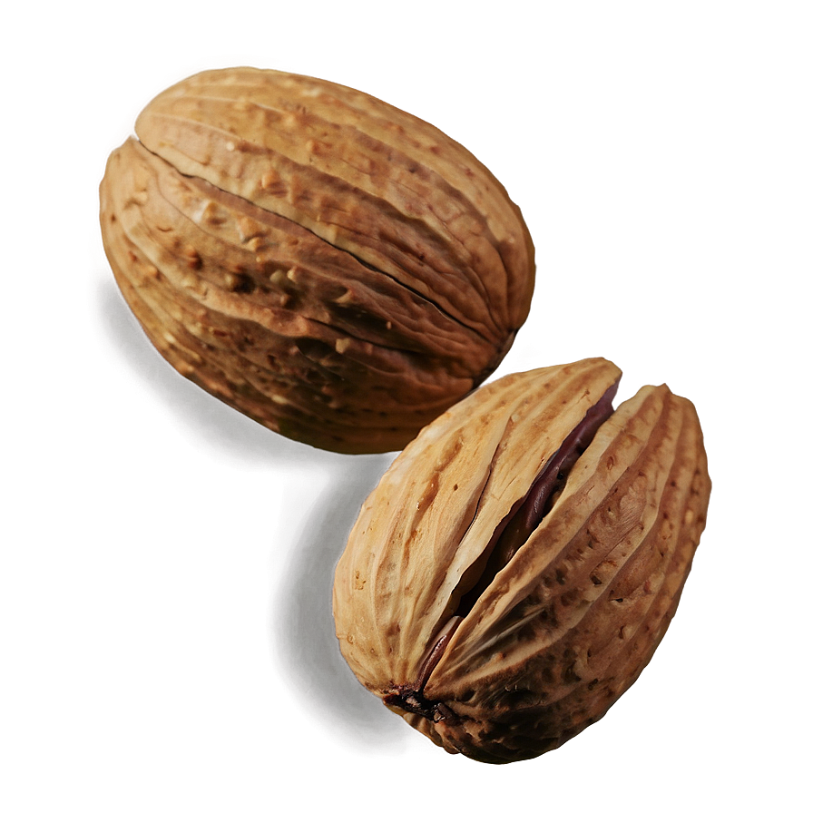 Nut B PNG image