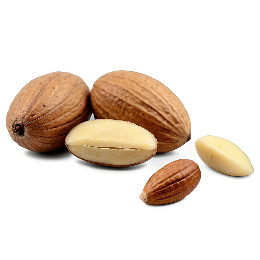 Nut C PNG image