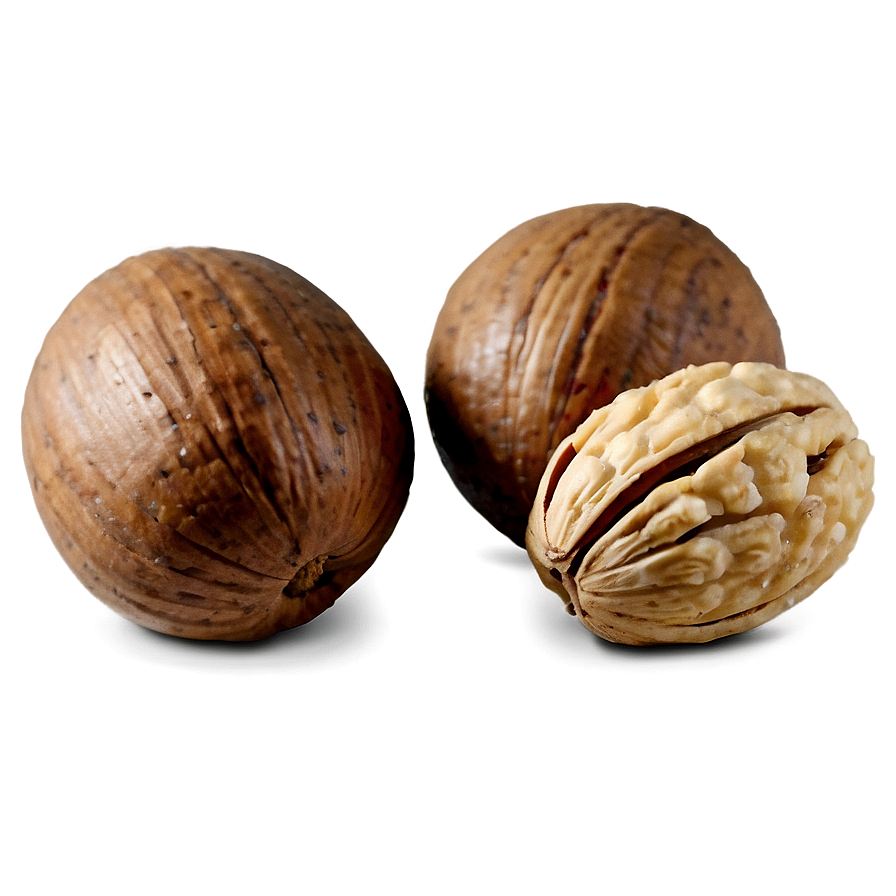 Nut D PNG image