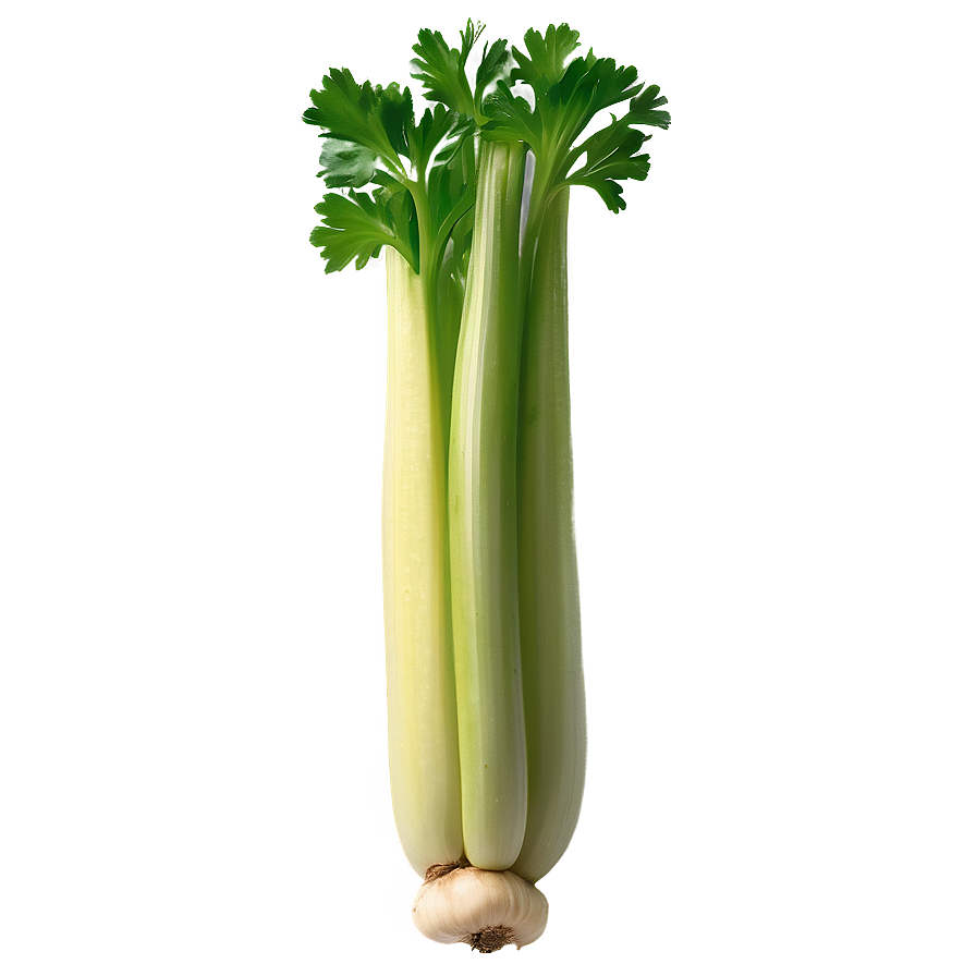 Nutritious Celery Png 90 PNG image