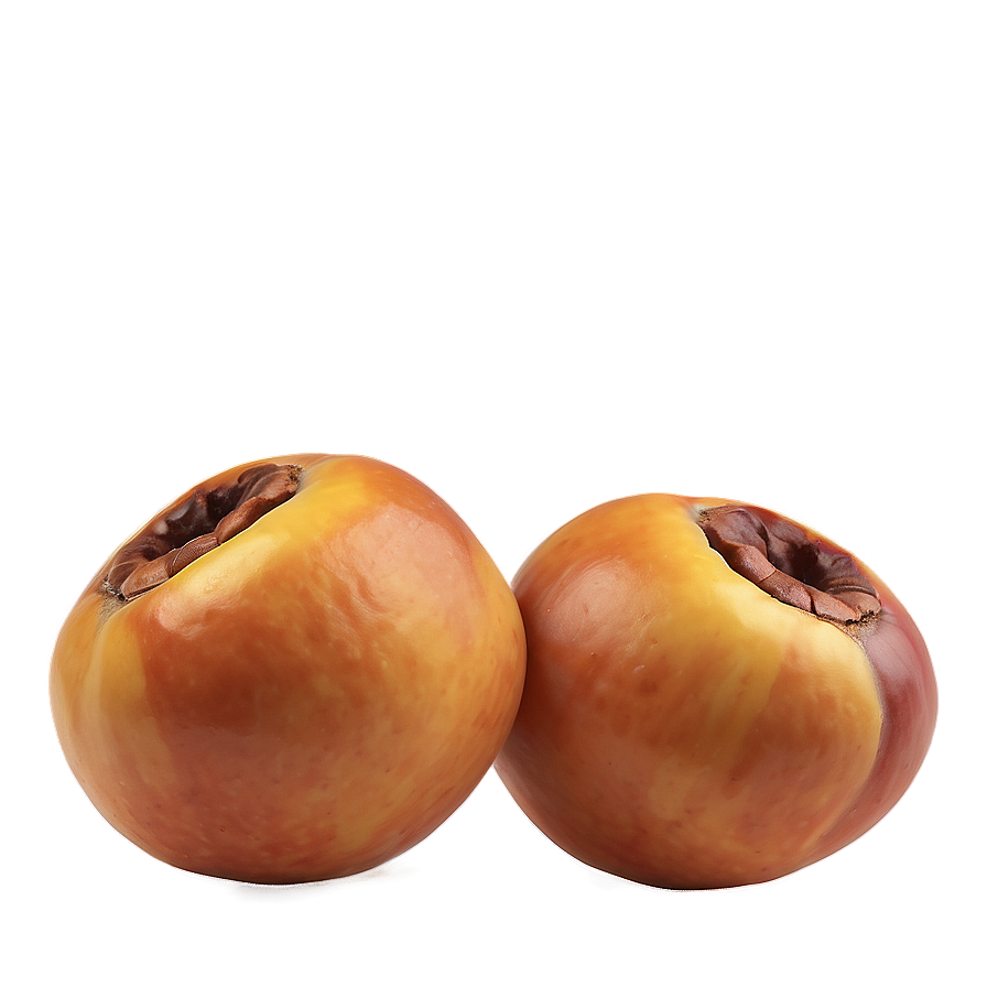 Nutritious Medlar Png 05232024 PNG image